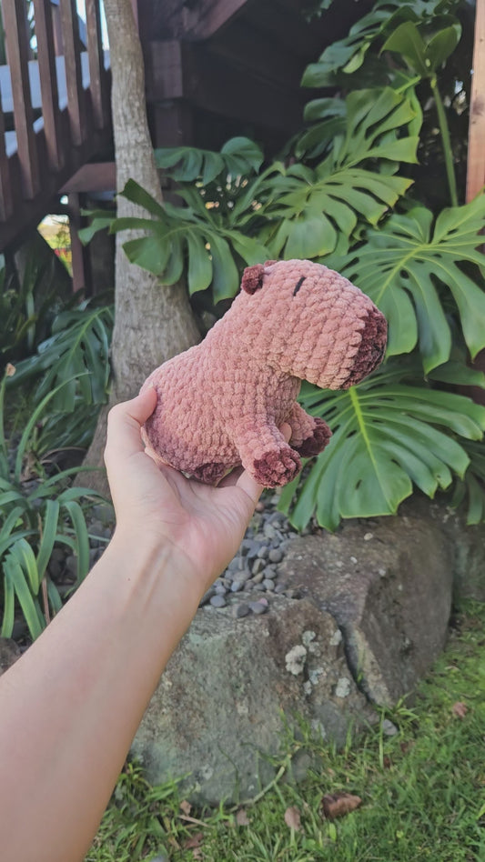 Capybara - Small