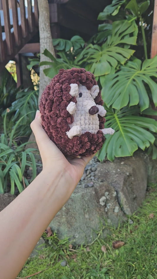 Hedgehog