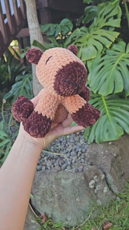 Capybara - Medium